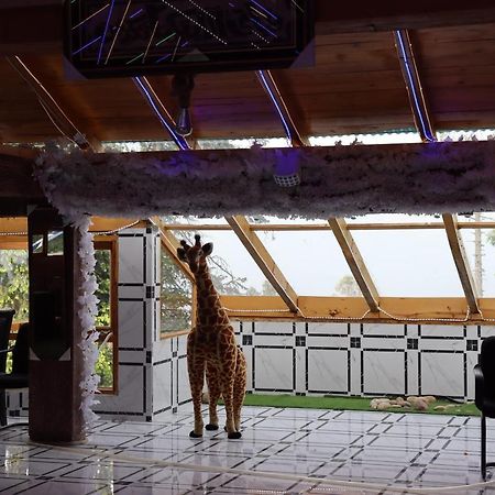 Hotel Al Azeem Ayubia Esterno foto